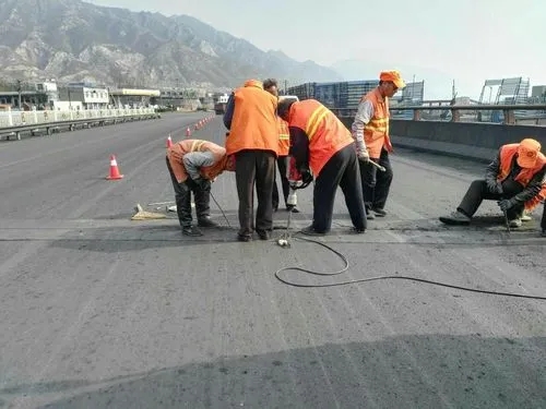 嘉黎道路桥梁病害治理